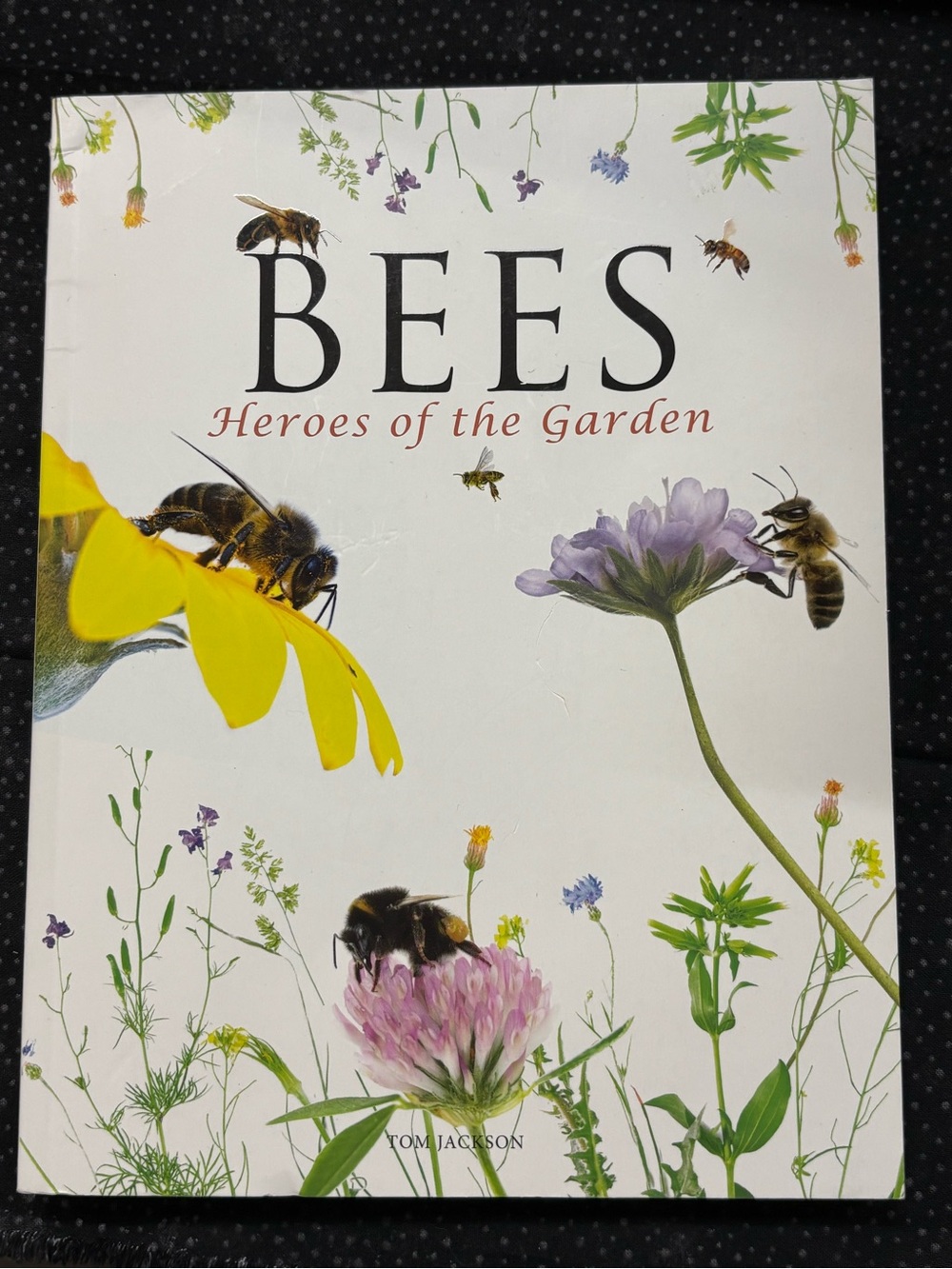 Bees Heroes of the Garden book